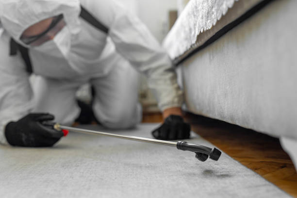 Professional Termite Control technician working in Central Square, NY