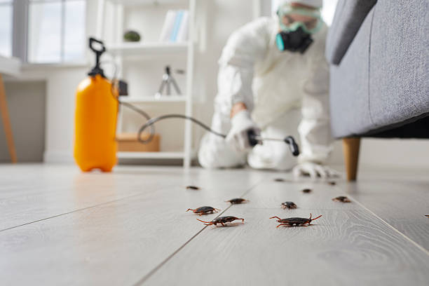 Affordable Termite Control solutions in Central Square, NY
